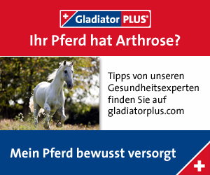 Banner Arthrose