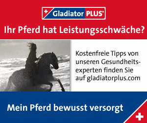 Banner Leistungsschw&auml;che