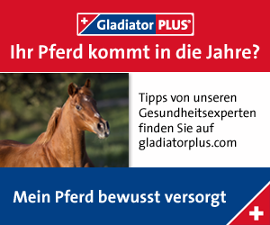Banner Senior