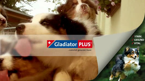 Bildschirmschoner: �Australian Shepherd�