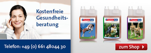 kostenlose Gesundheitsberatung durch unsere Expertin Xenia Cruz Garcia