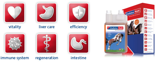GladiatorPLUS: Product information